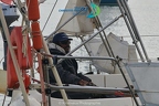 kinenveux TourVoile17 2024 DVX 0173