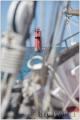 kinenveux_dvx_5523