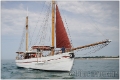 kinenveux_dvx_5744