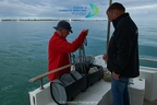 kinenveux TourVoile17 2024 DVX 0141